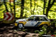 50.-nibelungenring-rallye-2017-rallyelive.com-0829.jpg